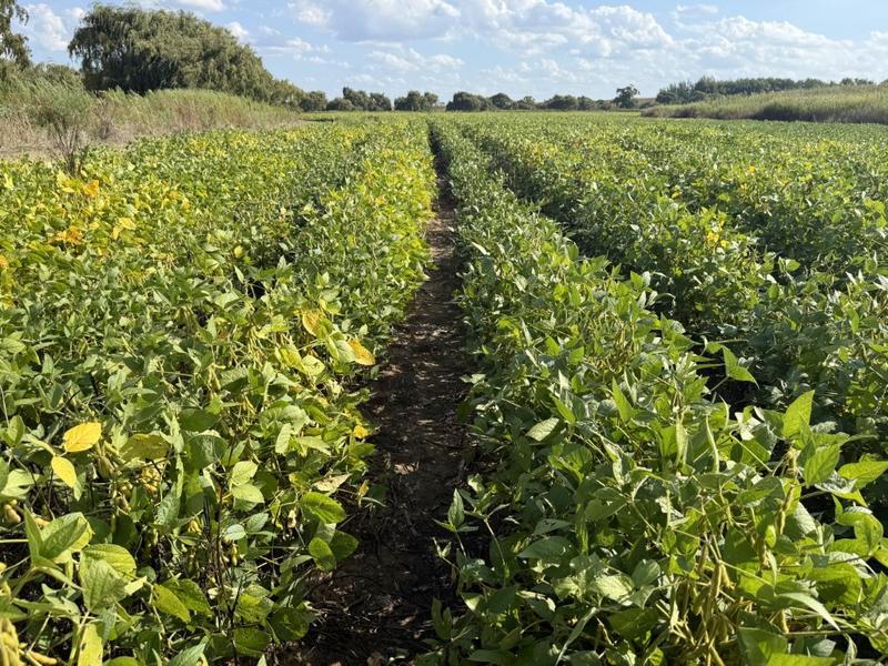 0 Bedroom Property for Sale in Harrismith Free State